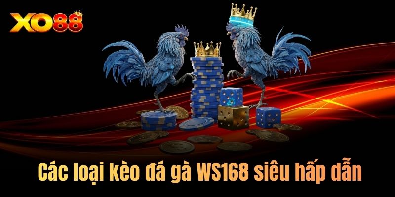 Các loại kèo đá gà WS168 siêu hấp dẫn hấp dẫn