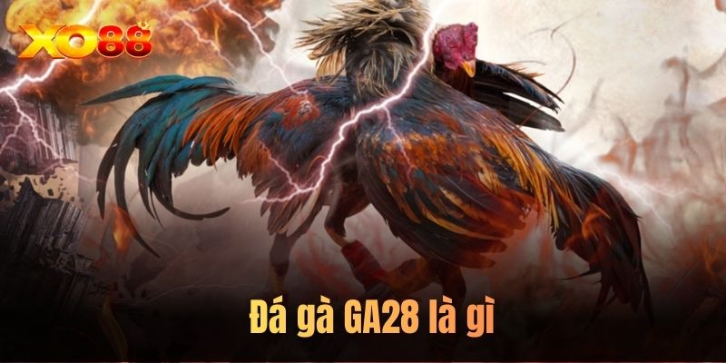 Đá gà GA28 là gì